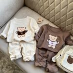 ست تدی بیسکوییتی