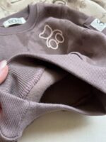 ست دورس تو کرک تدی آبرنگی - تصویر 3